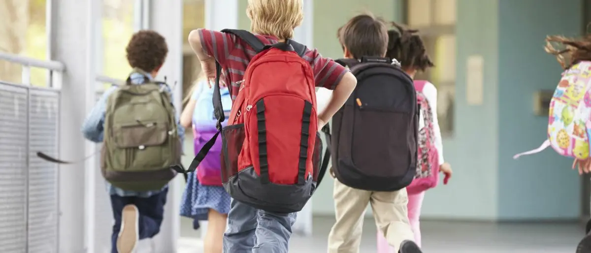 L'iniziativa di Occhiuto sullo psicologo scolastico: mozione bipartisan a Palazzo dei Bruzi