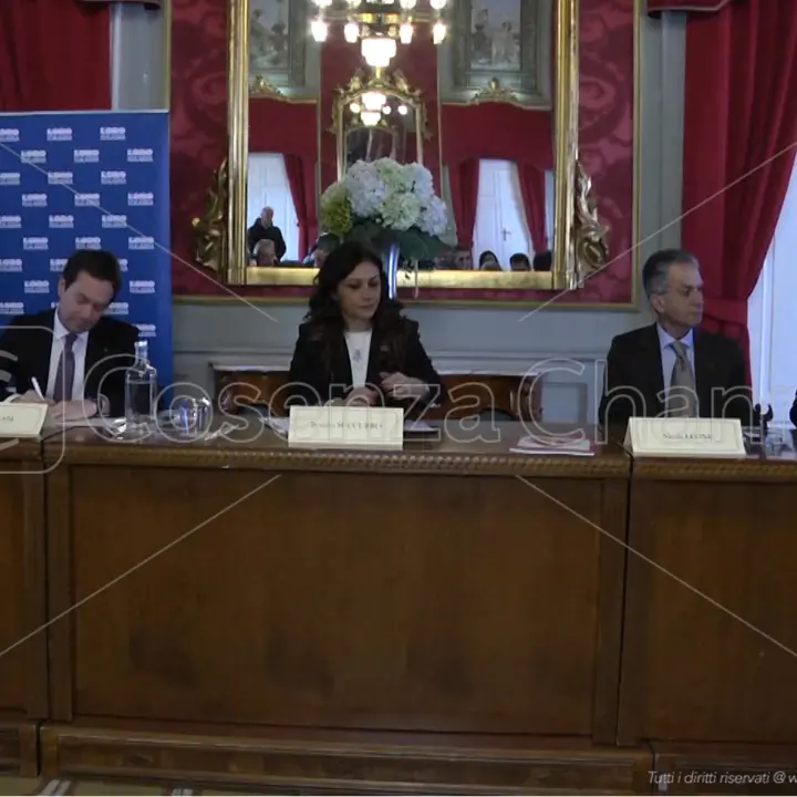 L'associazione \"L'Orodicalabria\" presenta il proprio comitato scientifico: «Siamo a caccia di giovani talenti calabresi»