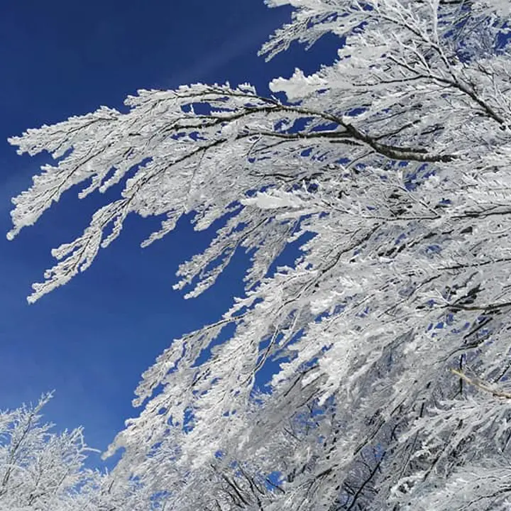 Galaverna in Sila, uno spettacolo naturale. Cos'è e come si forma