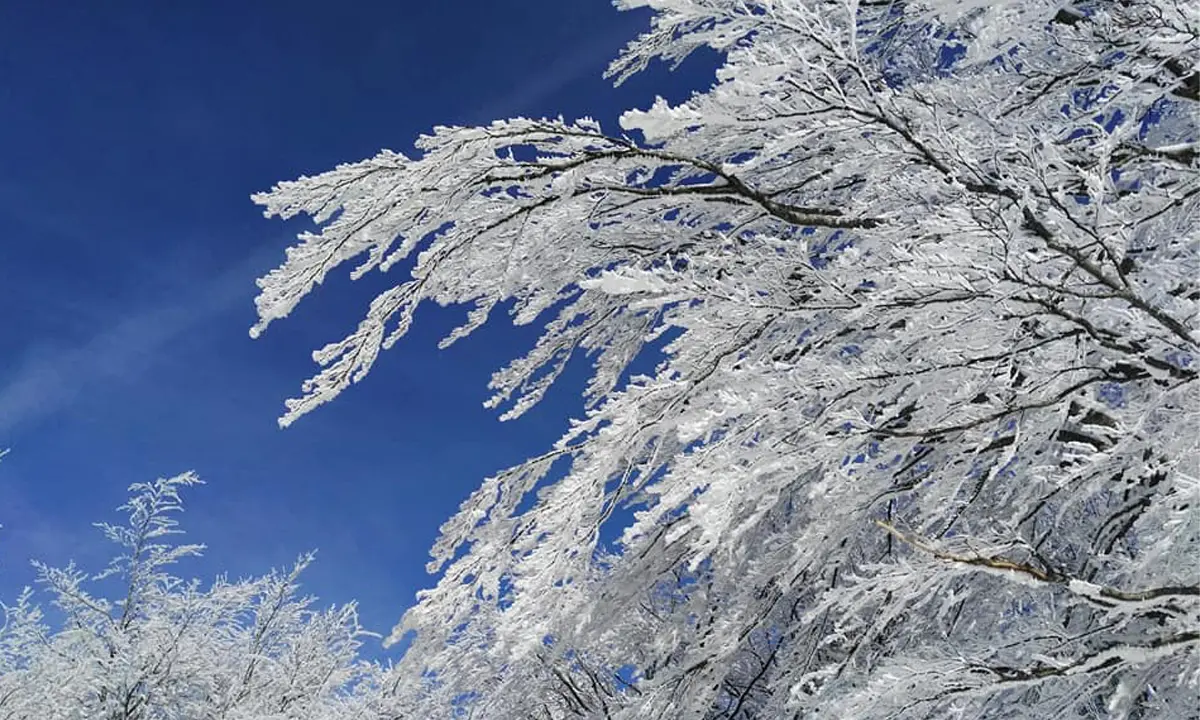 Galaverna in Sila, uno spettacolo naturale. Cos'è e come si forma