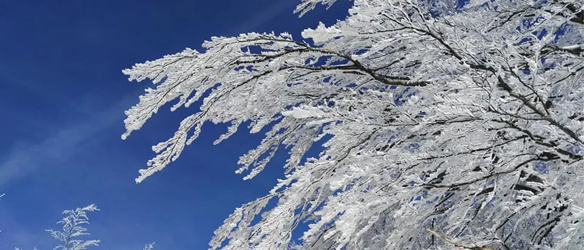 Galaverna in Sila, uno spettacolo naturale. Cos'è e come si forma