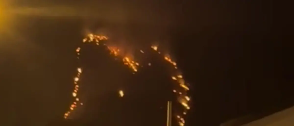 Alto Tirreno cosentino in fiamme. Vasto incendio a Tortora in località Rosaneto