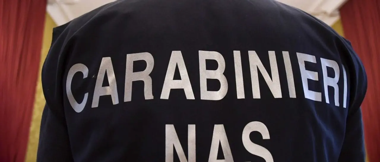 Blatte e sporcizia nei laboratori: chiuse due attività alimentari a Reggio Calabria