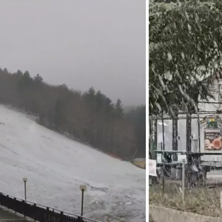 Nevicata in corso a Camigliatello Silano: la Sila imbiancata da una fitta coltre bianca