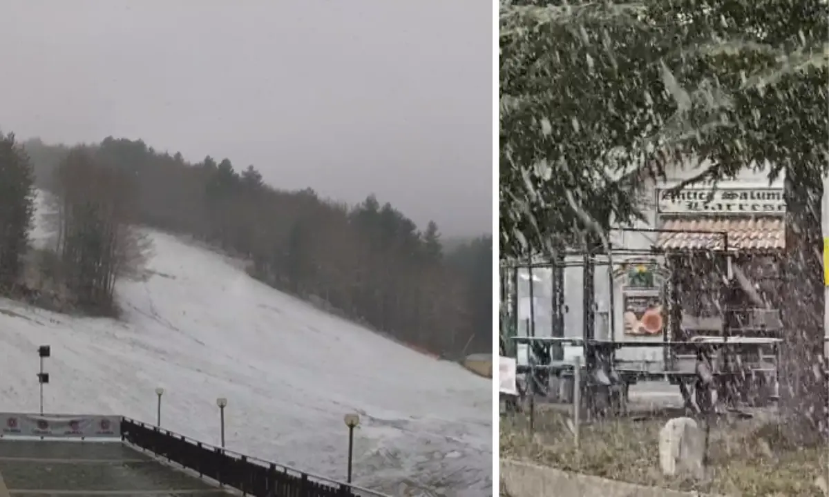 Nevicata in corso a Camigliatello Silano: la Sila imbiancata da una fitta coltre bianca