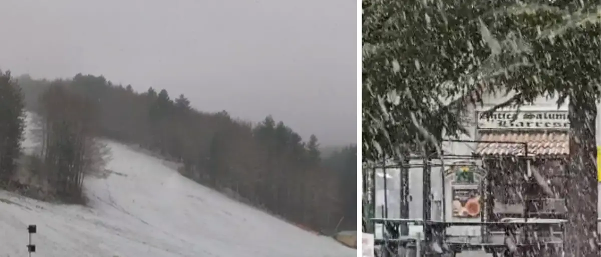 Nevicata in corso a Camigliatello Silano: la Sila imbiancata da una fitta coltre bianca