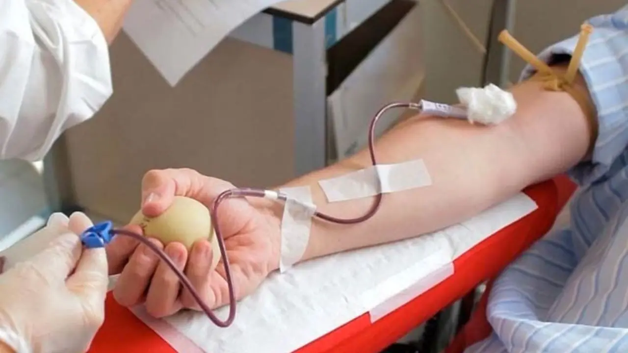 Donazione del sangue e del midollo osseo, il 22 marzo un convegno a Praia a Mare