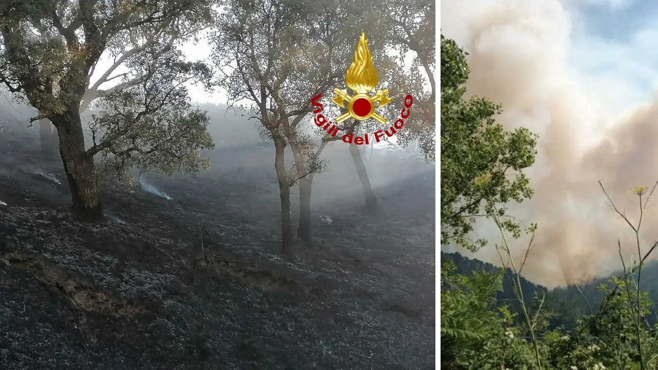Falerna, vasto incendio minaccia il centro abitato: in azione due canadair