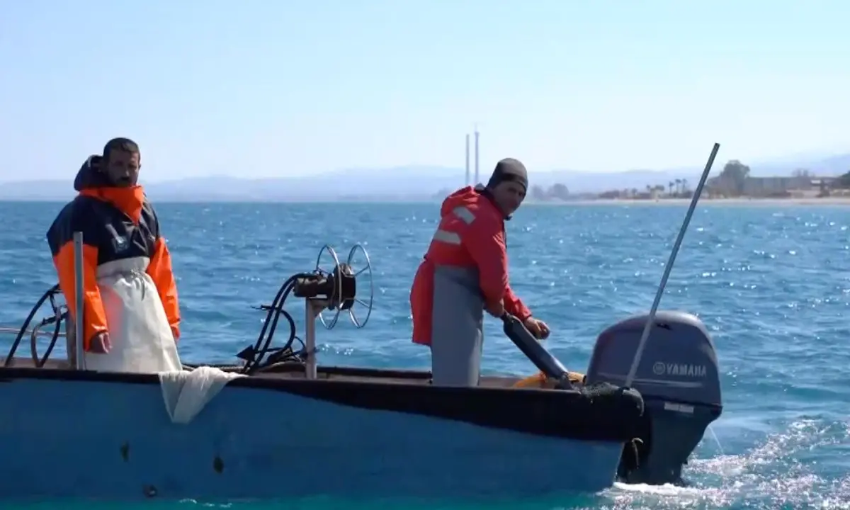 Marineria in affanno a Schiavonea, serve un segnale | VIDEO