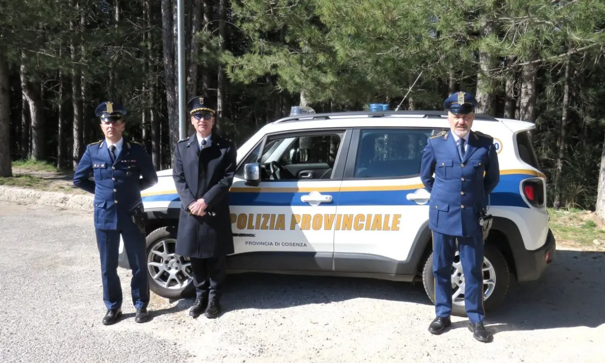 La Polizia Provinciale di Cosenza scopre abusi edilizi nel Parco della Sila