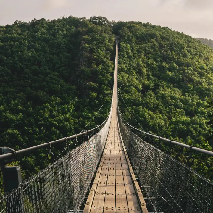 Il ponte tibetano più lungo del mondo tra Grisolia e Maierà procede a passo svelto