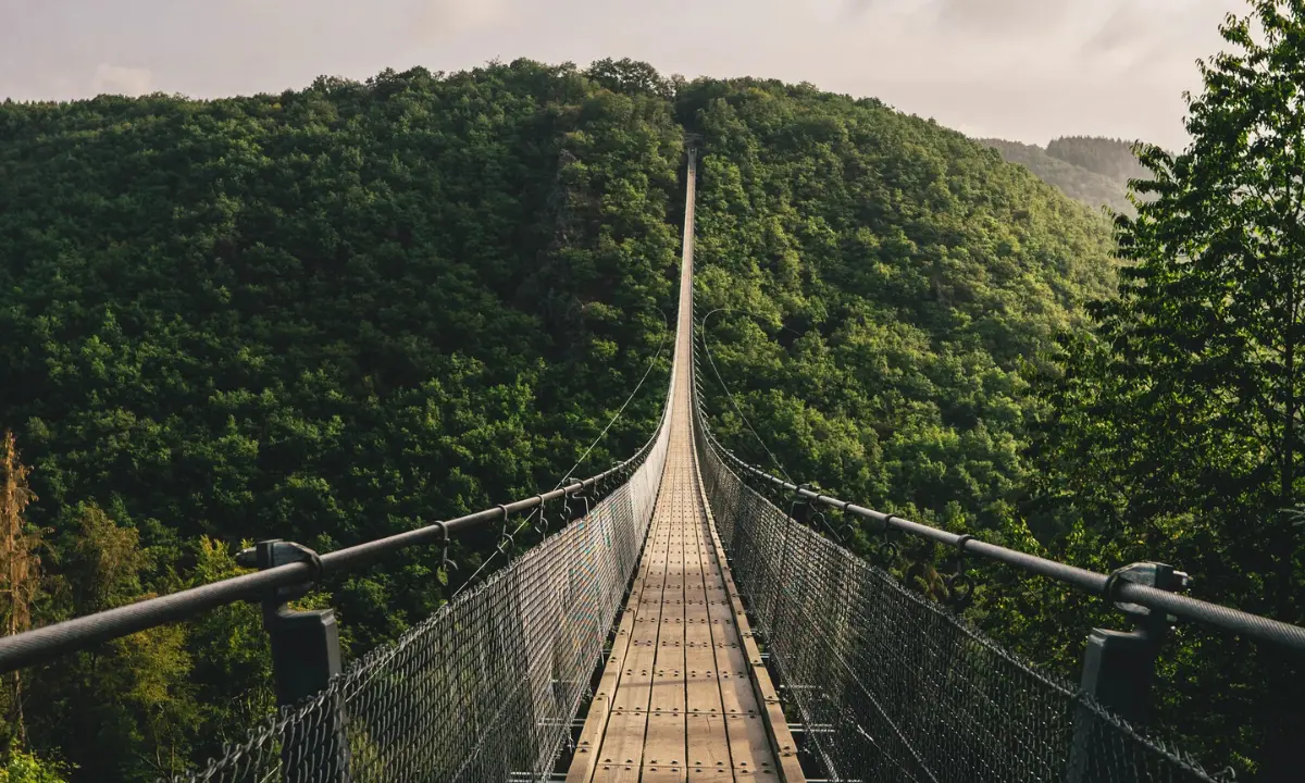 Il ponte tibetano più lungo del mondo tra Grisolia e Maierà procede a passo svelto