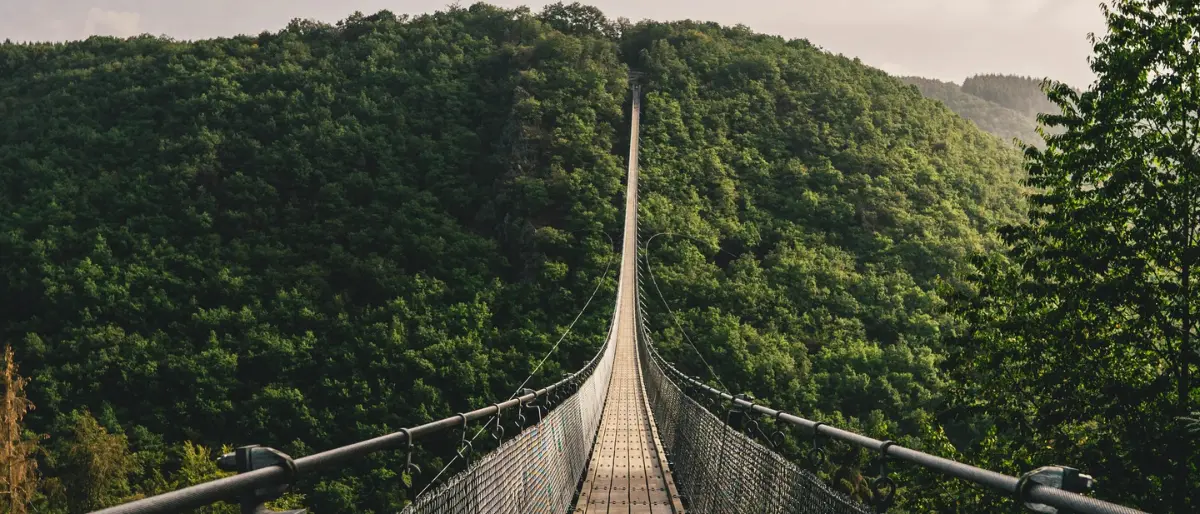 Il ponte tibetano più lungo del mondo tra Grisolia e Maierà procede a passo svelto