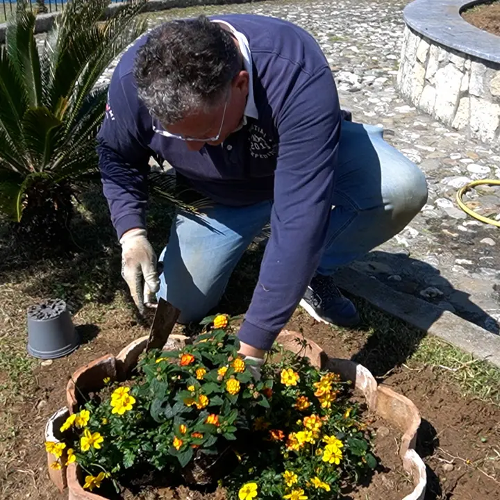 “In-Fiori-AMO Belvedere”, il borgo tirrenico si riempie di fiori e colori