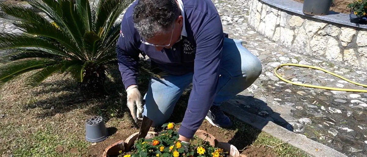 “In-Fiori-AMO Belvedere”, il borgo tirrenico si riempie di fiori e colori
