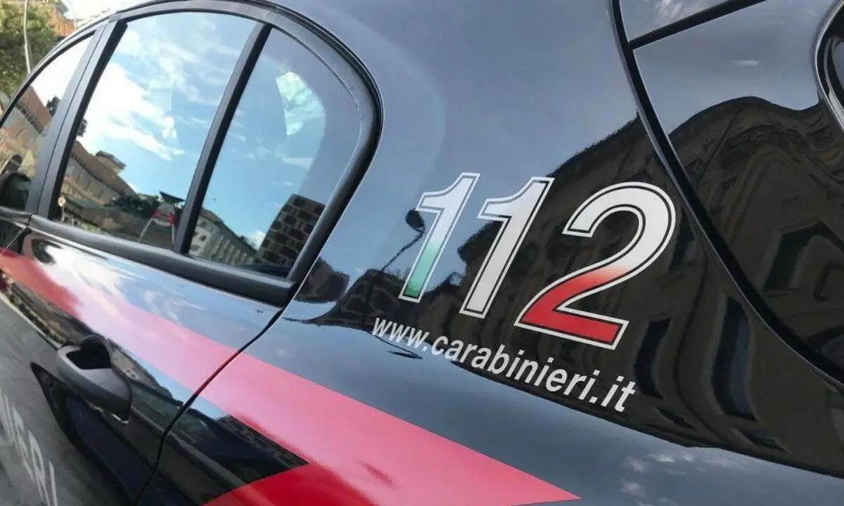 Ossa umane ritrovate in un uliveto a Limbadi, forse sono di un uomo scomparso nel 2023