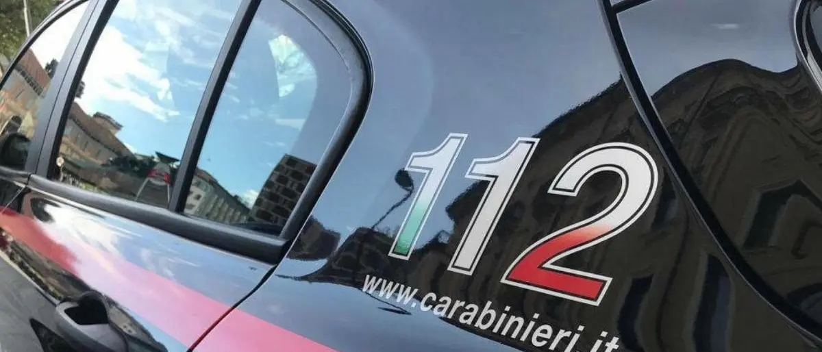 Ossa umane ritrovate in un uliveto a Limbadi, forse sono di un uomo scomparso nel 2023