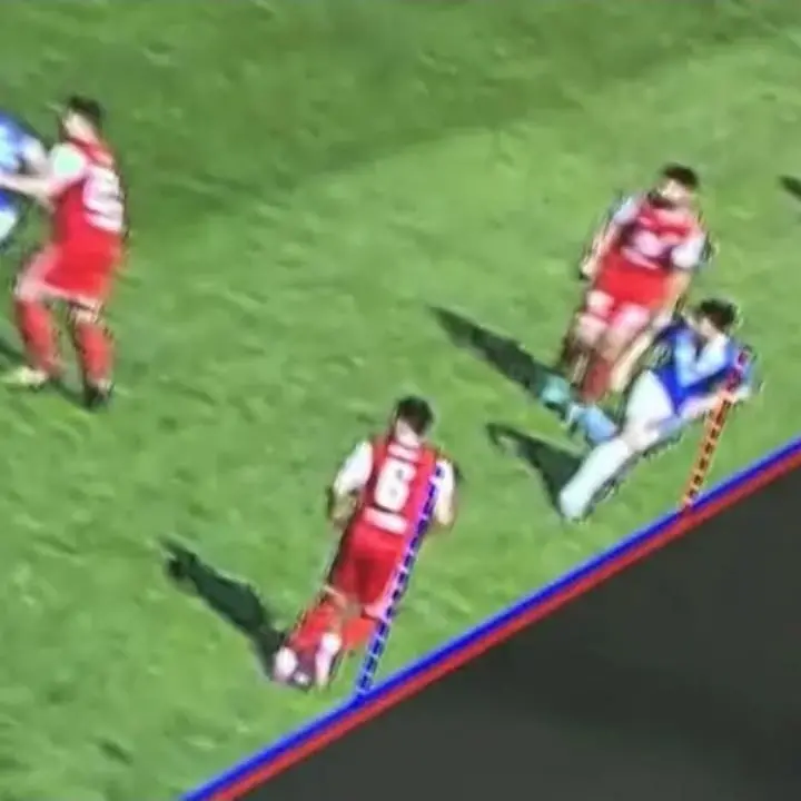 Cosenza e Brescia contro, ma unite entrambe dagli errori arbitrali