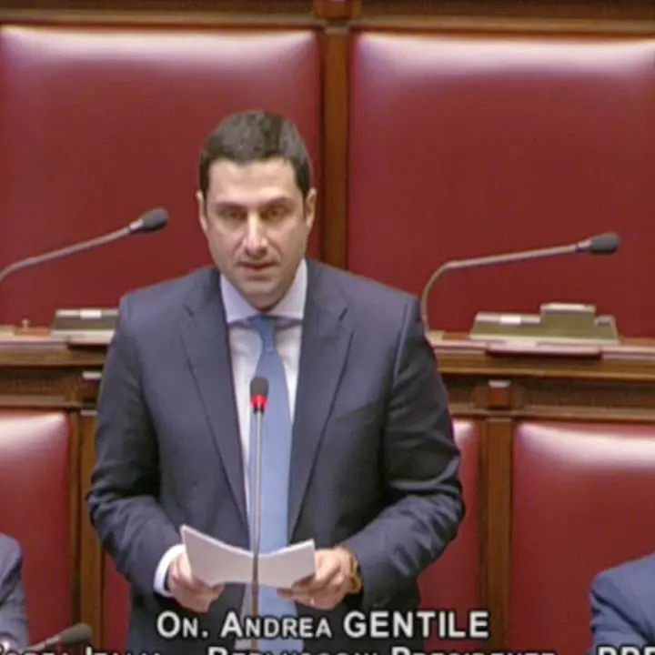 Andrea Gentile, 90% di presenze in Aula\n