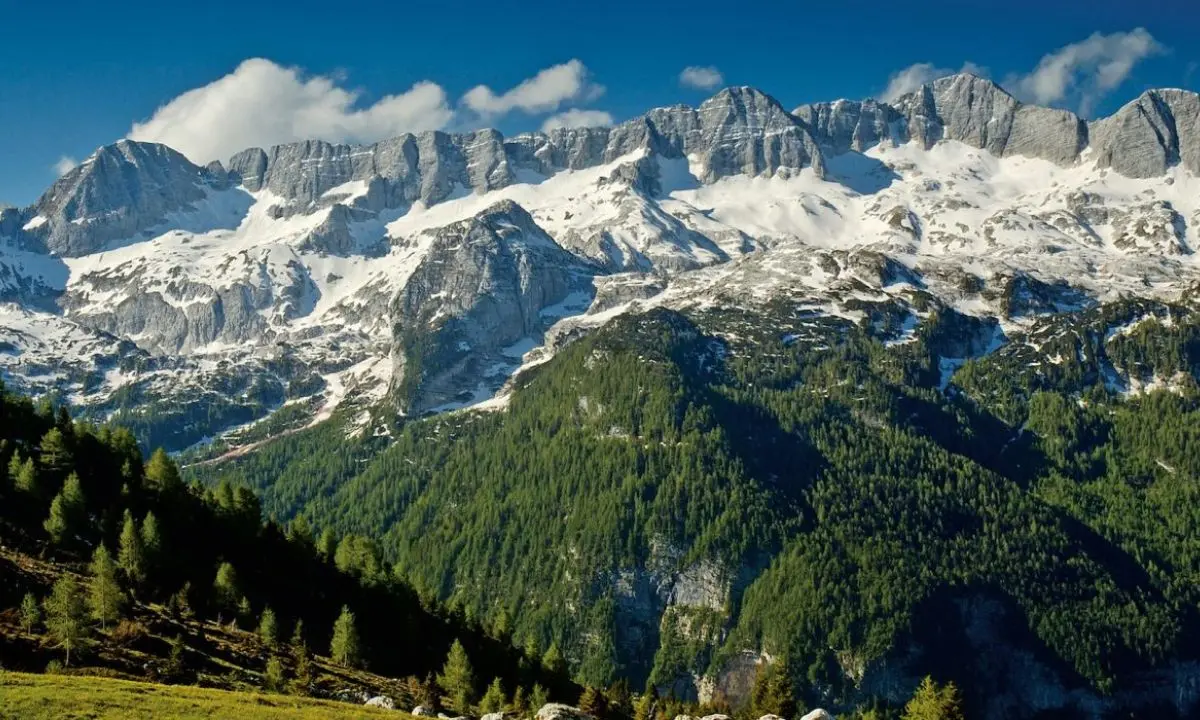 Muore precipitando in un canalone: tragedia durante un'escursione sulle Prealpi Giulie