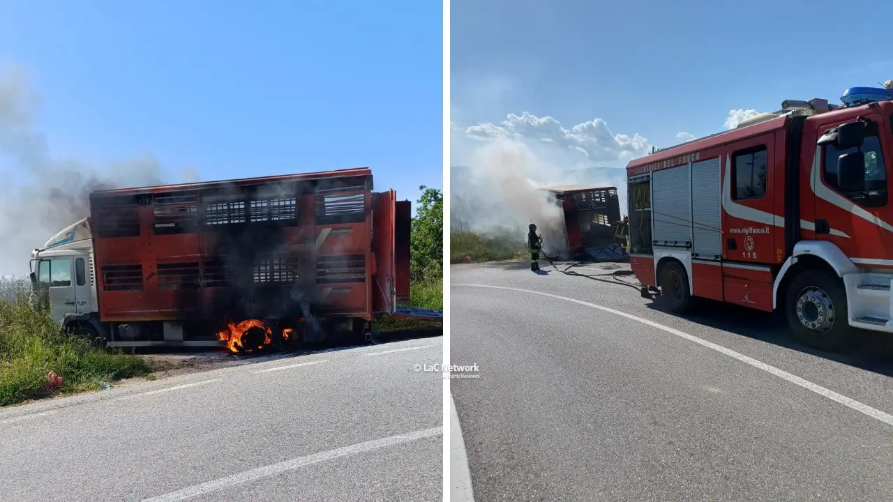 Camion di bestiame in fiamme sulla ss 660: animali salvati grazie all’intervento di una automobilista