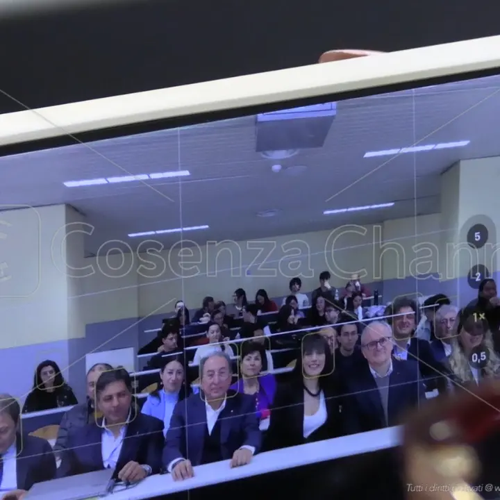 Giovani e imprese, il futuro resta qui: al via il Mentoring di \"Fatto in Calabria\"