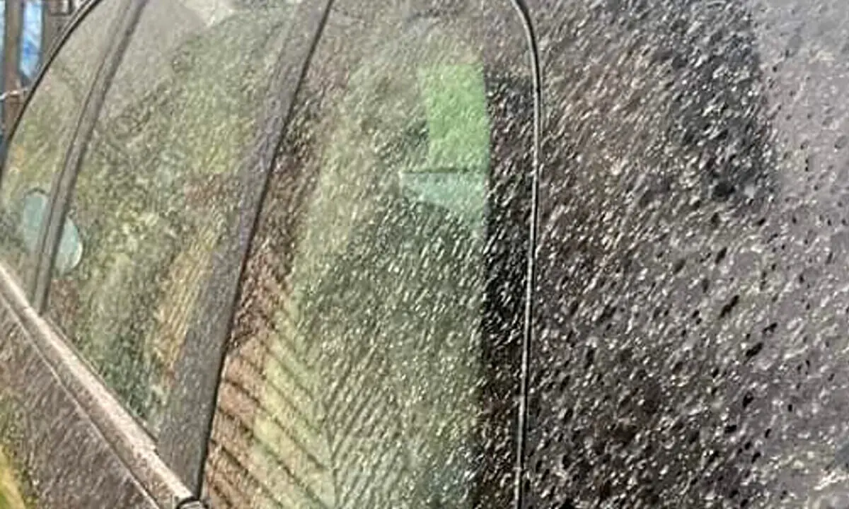 Meteo Cosenza, temperature alte su Tirreno e aree interne. Dal cielo tanta sabbia del Sahara