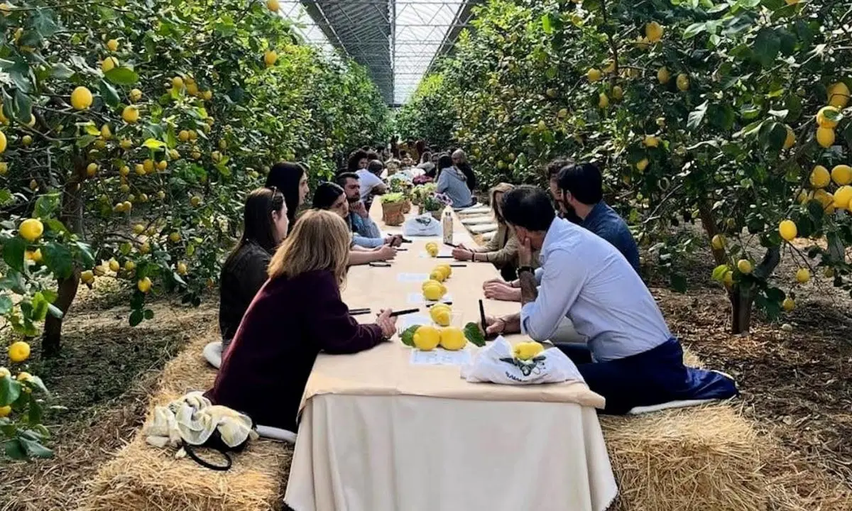 Energia e colture, a Scalea il primo convivio agrivoltaico