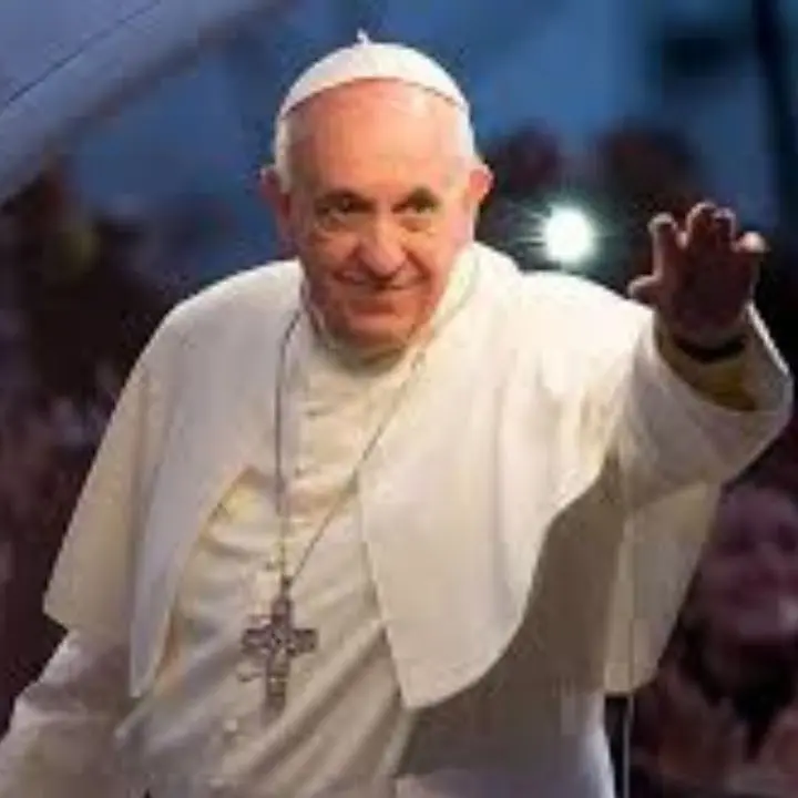 Papa Francesco, il processo di transizione e la \"Sede Vacante\"