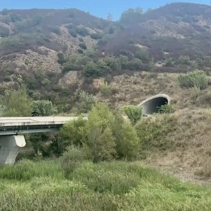 La Sibaritide produce ma resta isolata, Broccolo chiede infrastrutture