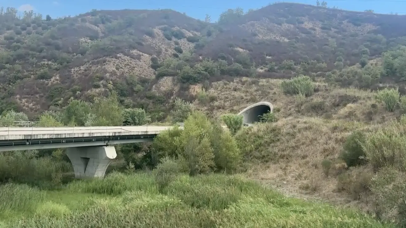 La Sibaritide produce ma resta isolata, Broccolo chiede infrastrutture