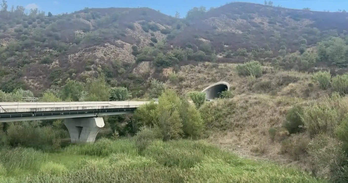 La Sibaritide produce ma resta isolata, Broccolo chiede infrastrutture