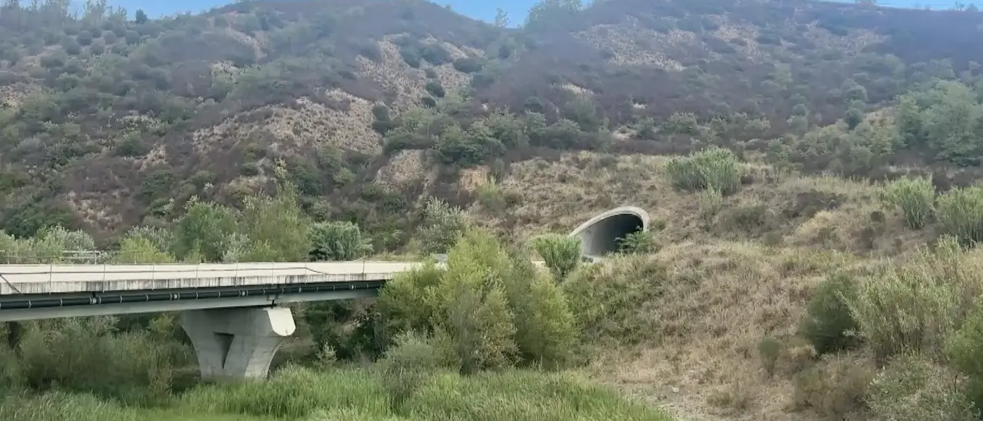 La Sibaritide produce ma resta isolata, Broccolo chiede infrastrutture
