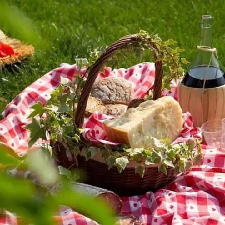 Pasqua 2025, agriturismi sold out in Sila: le stime di Coldiretti