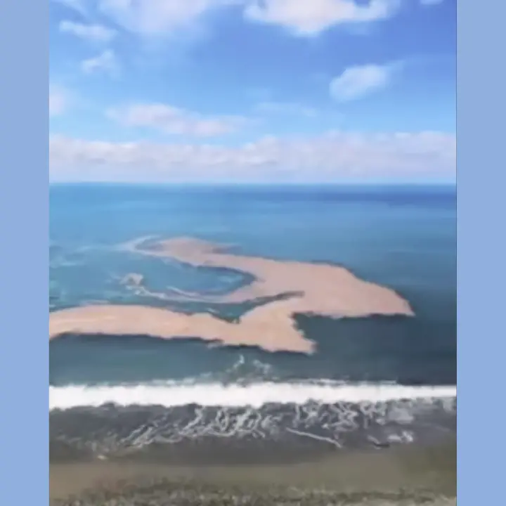 Mare sporco a Fuscaldo già ad aprile. Schiuma e sporcizia a due passi dalla spiaggia