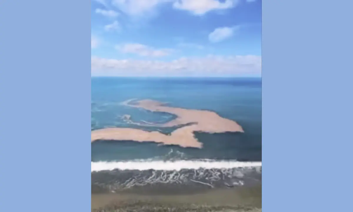 Mare sporco a Fuscaldo già ad aprile. Schiuma e sporcizia a due passi dalla spiaggia