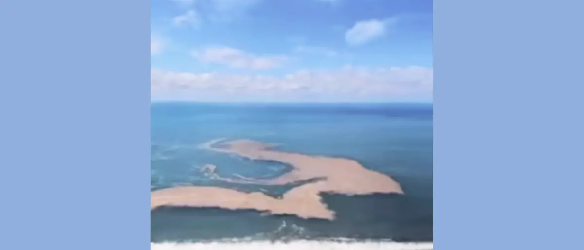 Mare sporco a Fuscaldo già ad aprile. Schiuma e sporcizia a due passi dalla spiaggia