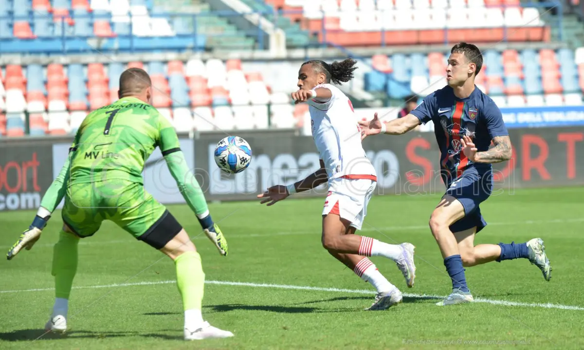 Cosenza-Bari 1-0, per i Lupi si riaccende la speranza: basta un gol di Gargiulo