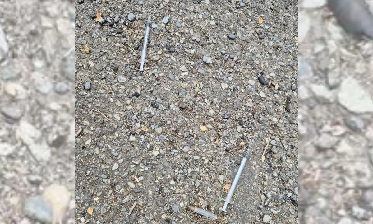 Cosenza, allarme social per la presenza di siringhe in via Cosmai