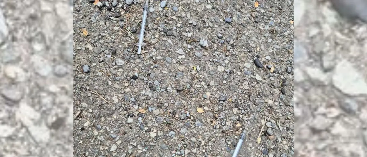 Cosenza, allarme social per la presenza di siringhe in via Cosmai