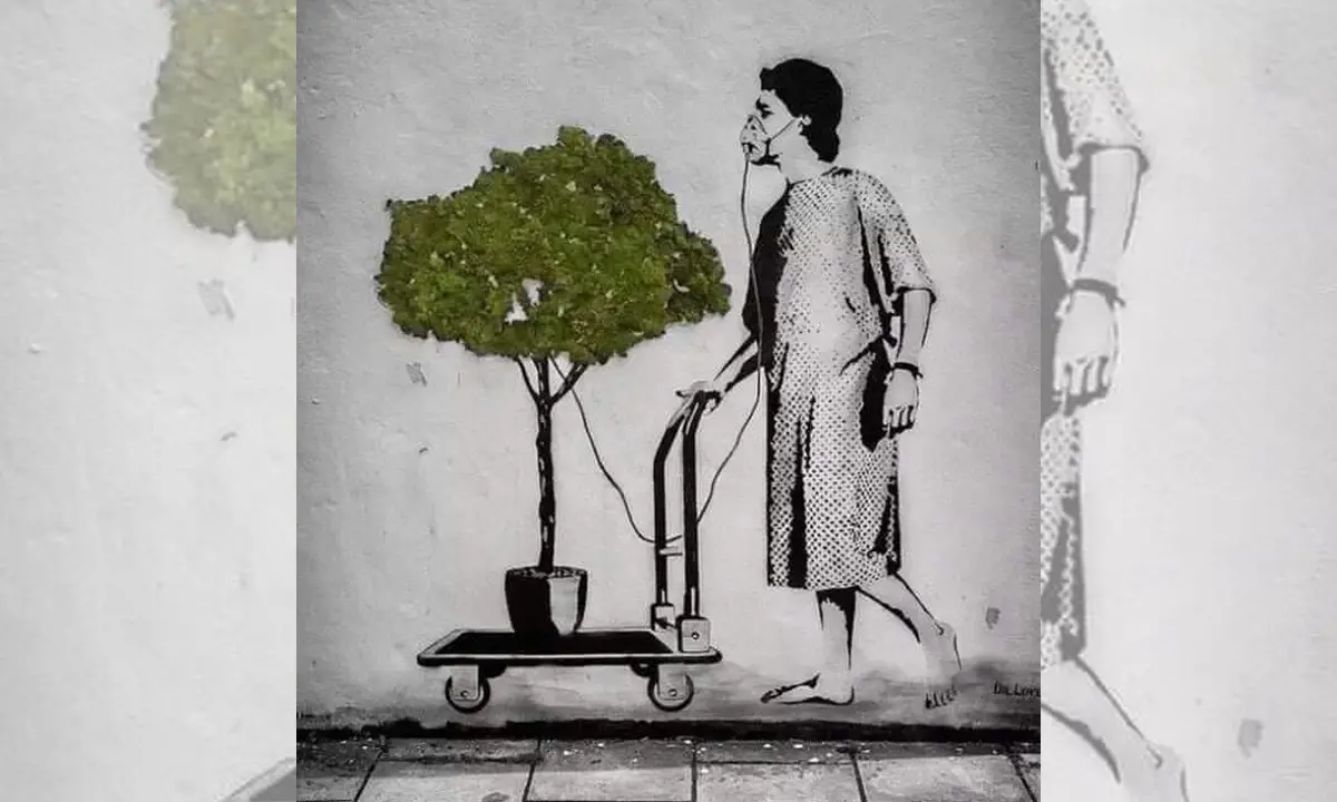 Cosenza, Bresciani: «Più attenzione al verde pubblico, gli alberi piantumati rischiano di morire»
