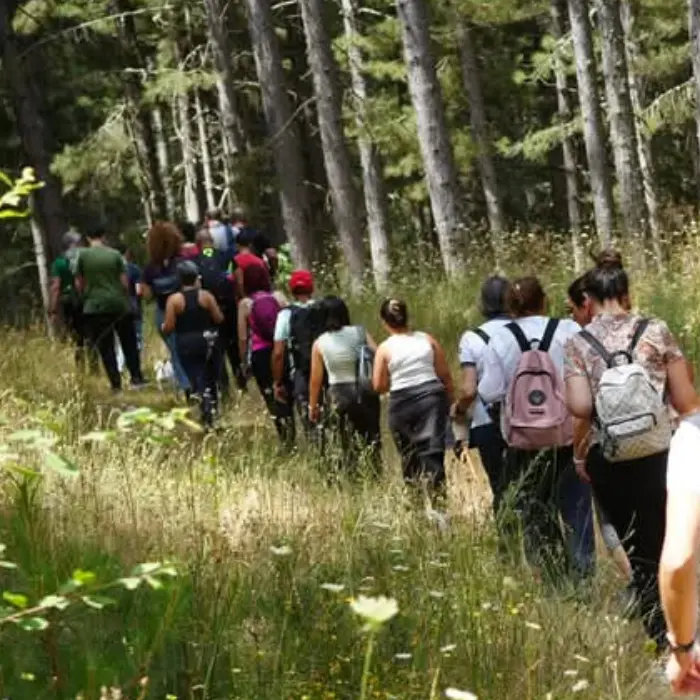 Il\u00A0Sentiero “Della Foresta Incantata” prende vita nel Parco nazionale della Sila\n