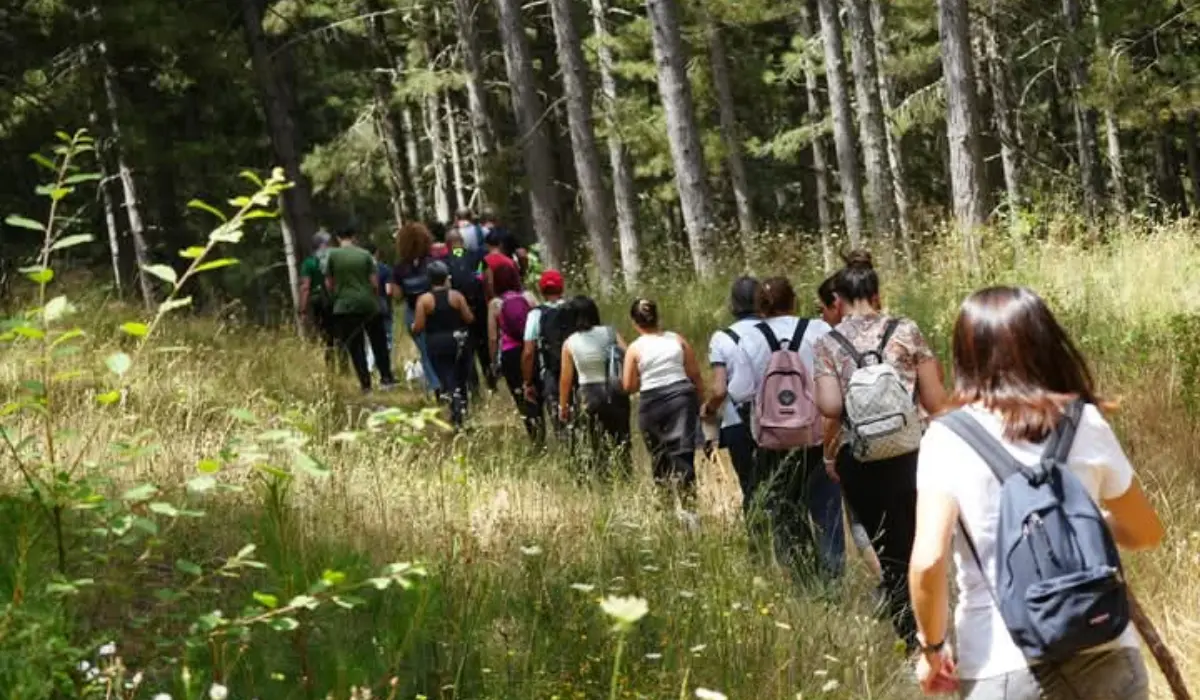 Le guide del Parco Nazionale della Sila fanno scoprire ai turisti Ariamancina