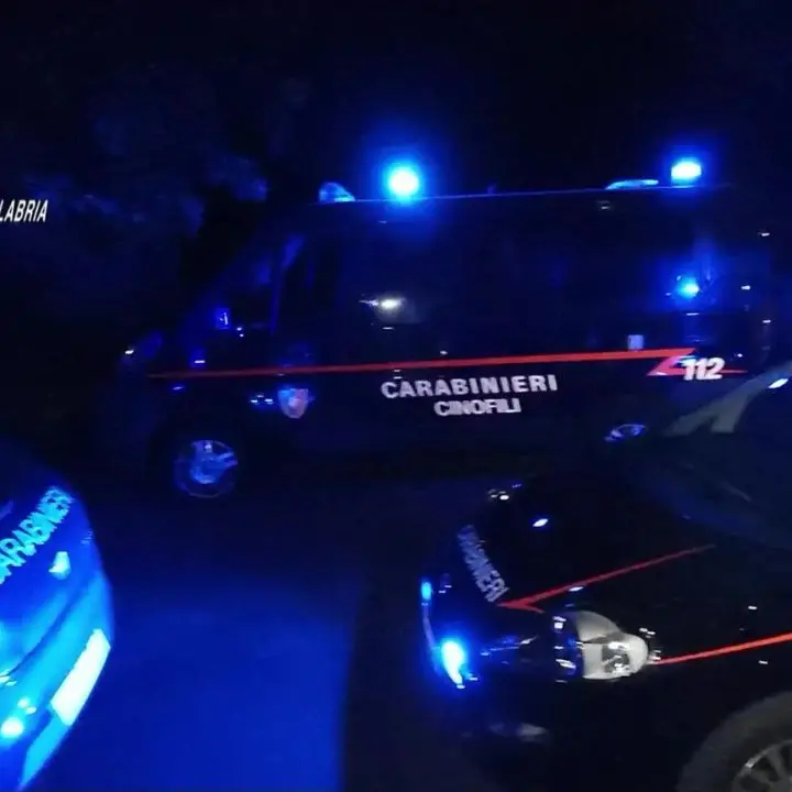 Narcotraffico da Platì a Cosenza, ecco le accuse al gruppo Barbaro