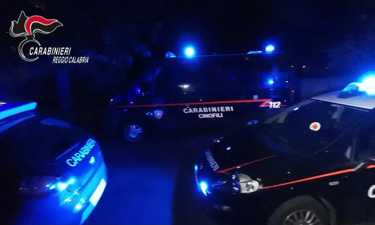 Narcotraffico da Platì a Cosenza, ecco le accuse al gruppo Barbaro
