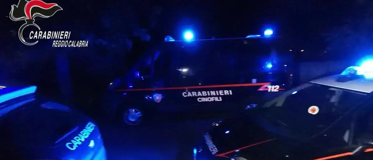 Narcotraffico da Platì a Cosenza, ecco le accuse al gruppo Barbaro