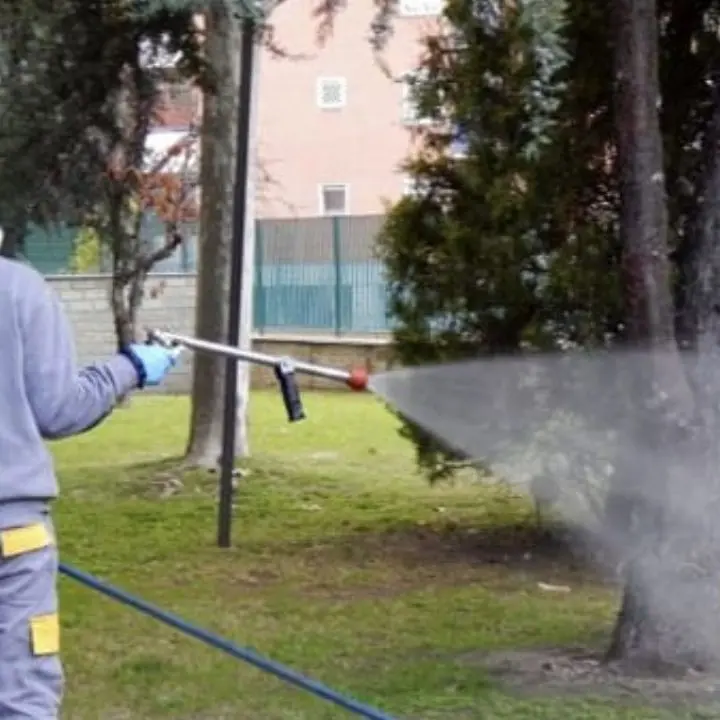 Cosenza, al via la disinfestazione su tutto il territorio comunale