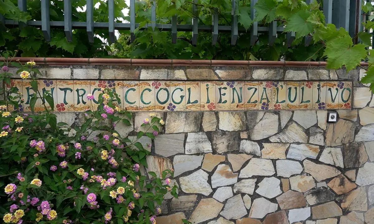 Tortora, partito il progetto “Pathos-Logico” per contrastare il fenomeno della ludopatia tra i giovani