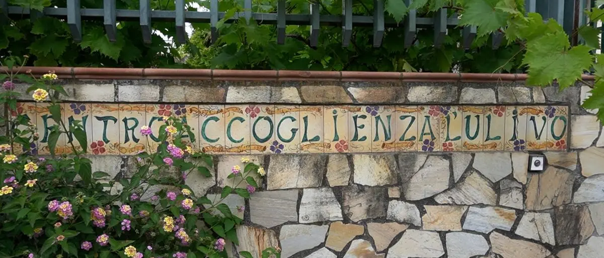 Tortora, partito il progetto “Pathos-Logico” per contrastare il fenomeno della ludopatia tra i giovani