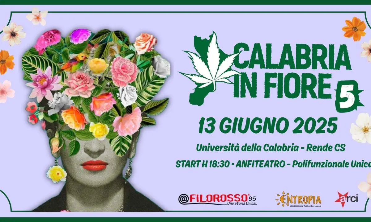 Calabria in Fiore: libri, musica e diritti nell’edizione 2025 del festival antiproibizionista all’Unical